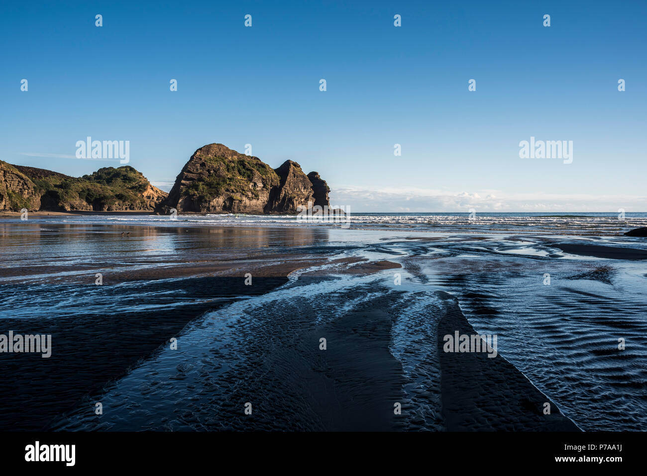 Auckland, Nuova Zelanda. Piha Beach Foto Stock