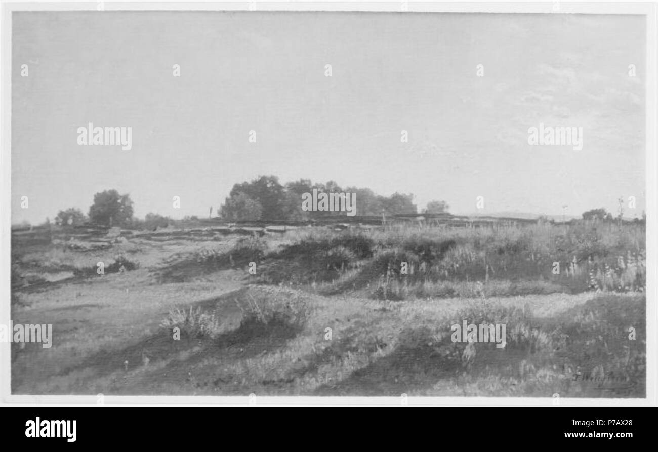 . Viehgrund bei Pang 1874 47 Giuseppe Wenglein - Viehgrund bei Pang - 8891 - Stato Bavarese raccolte di pittura Foto Stock