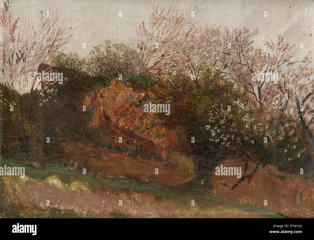 50 Ladislav Mednyánszky - lo studio della natura in primavera - O 2998 - Galleria Nazionale Slovacca Foto Stock