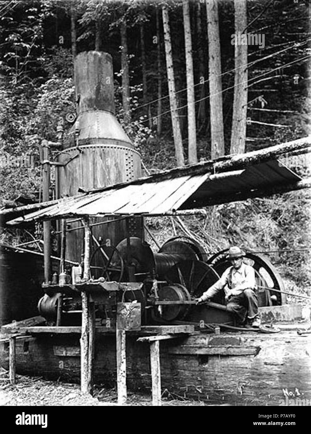 . Inglese: Logger asino di funzionamento motore, nello stato di Washington, ca. 1908 . Inglese: sul manicotto di negativo: Logger asino motore in servizio. Soggetti (LCTGM): industria del legname--Washington (stato); Logger; Vapore asini--Washington (stato) soggetti (LCSH): Registrazione--Washington (stato) . circa 1908 53 Logger asino di funzionamento motore, nello stato di Washington, ca 1908 bar (232) Foto Stock