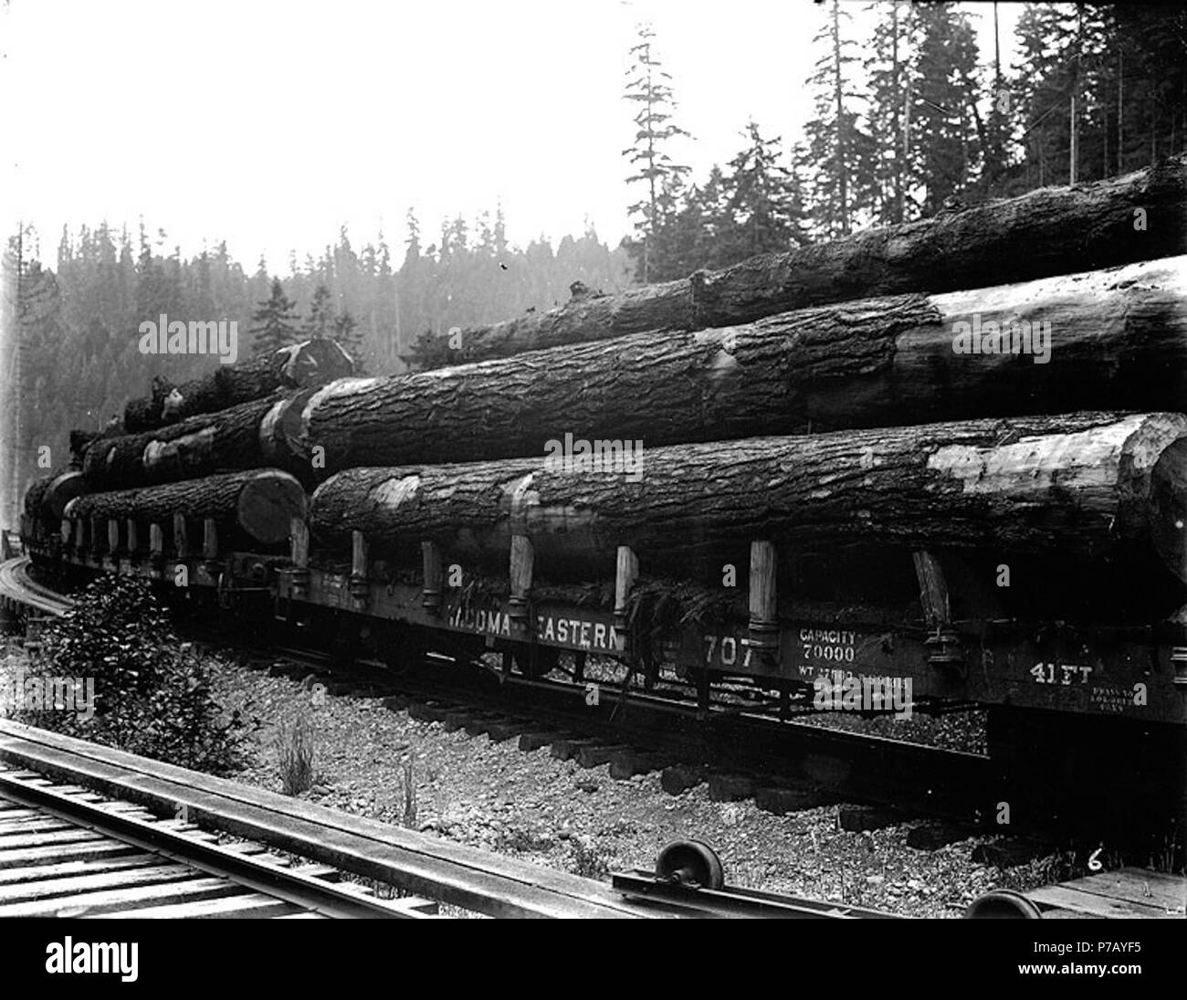 . Inglese: log caricati su vetture di Tacoma Eastern Railway, Washington, ca. 1908 . Inglese: sul manicotto di negativo: alberi. Grandi legni di abete caricato sulle vetture. Soggetti (LCTGM): industria del legname--Washington (stato); log; i binari della ferrovia--Washington (stato) soggetti (LCSH): Log trasporto--Washington (stato); logging--Washington (stato); legname--Washington (stato) . circa 1908 53 log caricati su vetture di Tacoma Eastern Railway, Washington, ca 1908 bar (214) Foto Stock