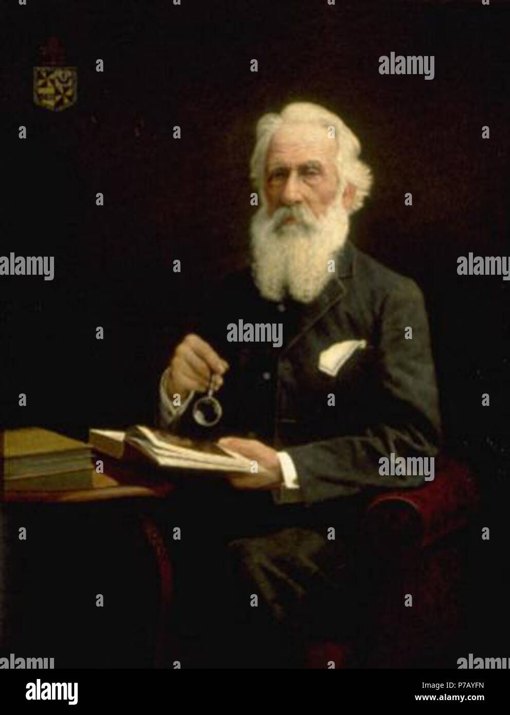 . Ritratto di Sir John Logan Campbell 1910 53 Louis John Steele - Ritratto di Sir John Logan Campbell - 1910-2 - Auckland Art Gallery Foto Stock