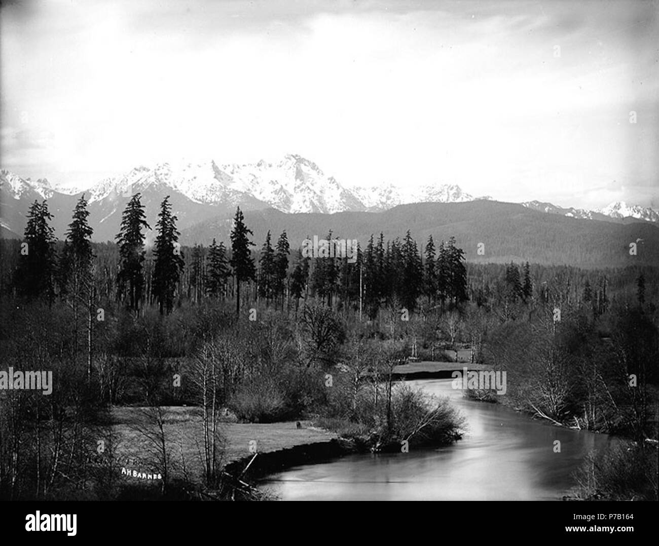 . Inglese: montagne olimpiche vista dal fiume Skokomish vicino al lago Cushman, Washington, ca. 1913 . Inglese: sul manicotto di negativo: Lago Cushman. Olympic Mtns. dalle banche di Skokomish vicino alla sua imboccatura soggetti (LCTGM): Montagne--Washington (stato); laghi e stagni--Washington (stato); fiumi--Washington (stato) soggetti (LCSH): montagne olimpiche (Washington); lago Cushman (Washington); Skokomish River (Washington) . circa 1913 60 Montagne Olimpiche vista dal fiume Skokomish vicino al lago Cushman, Washington, ca 1913 bar (288) Foto Stock