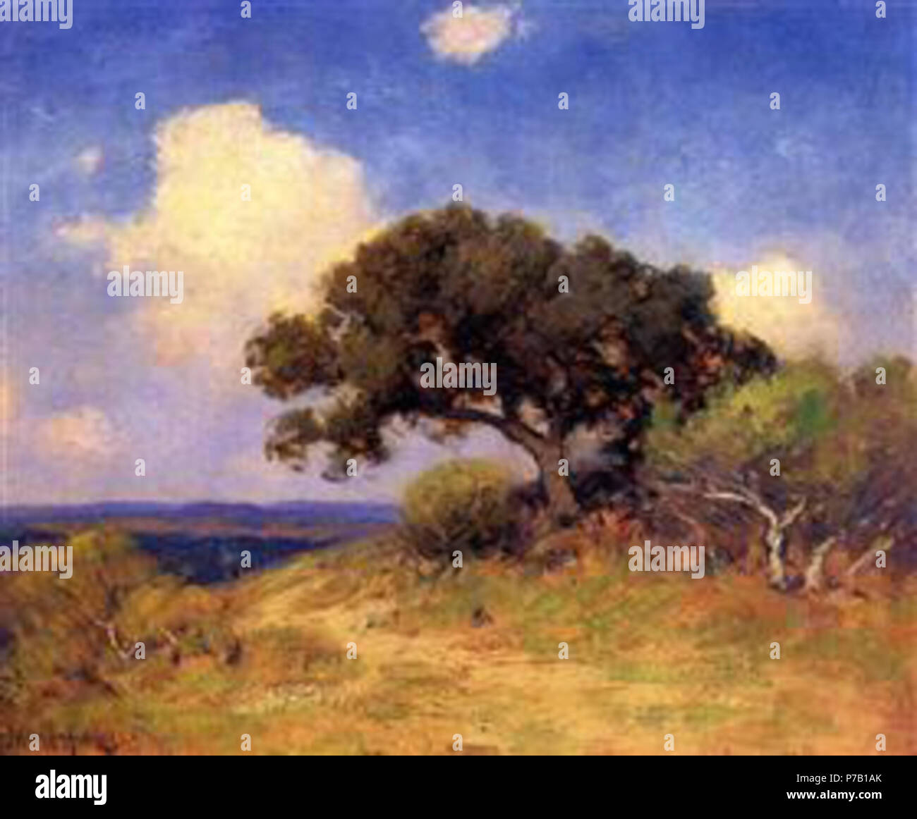 Il lavoro di Julian Onderdonk . prima di 1942 60 Onderdonk - old-live-oak-1910 Foto Stock