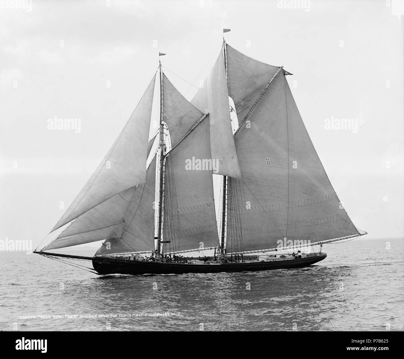 Inglese: Rose Dorothea era uno dei famosi "Indian Head' golette progettato da Thomas McManus e costruito a Tarr & James cantiere in Essex, ma nel 1905. Ella era 108,7 piedi (33,1 m) long, pesati 108 tonnellate, con una stazza lorda di 147 tonnellate e di un equipaggio di 26 uomini. Come una parte di Boston's "Vecchio Home Settimana di festa nel mese di agosto 1907, una tazza è stato offerto da Sir Thomas Lipton di pescatori di gara in Massachusetts Bay da a Provincetown a Gloucester a Boston. Nonostante la perdita della sua foretopmast nel tratto finale della corsa, il Rose Dorothea, con il suo equipaggio a Provincetown, ha vinto la gara da 2 Foto Stock