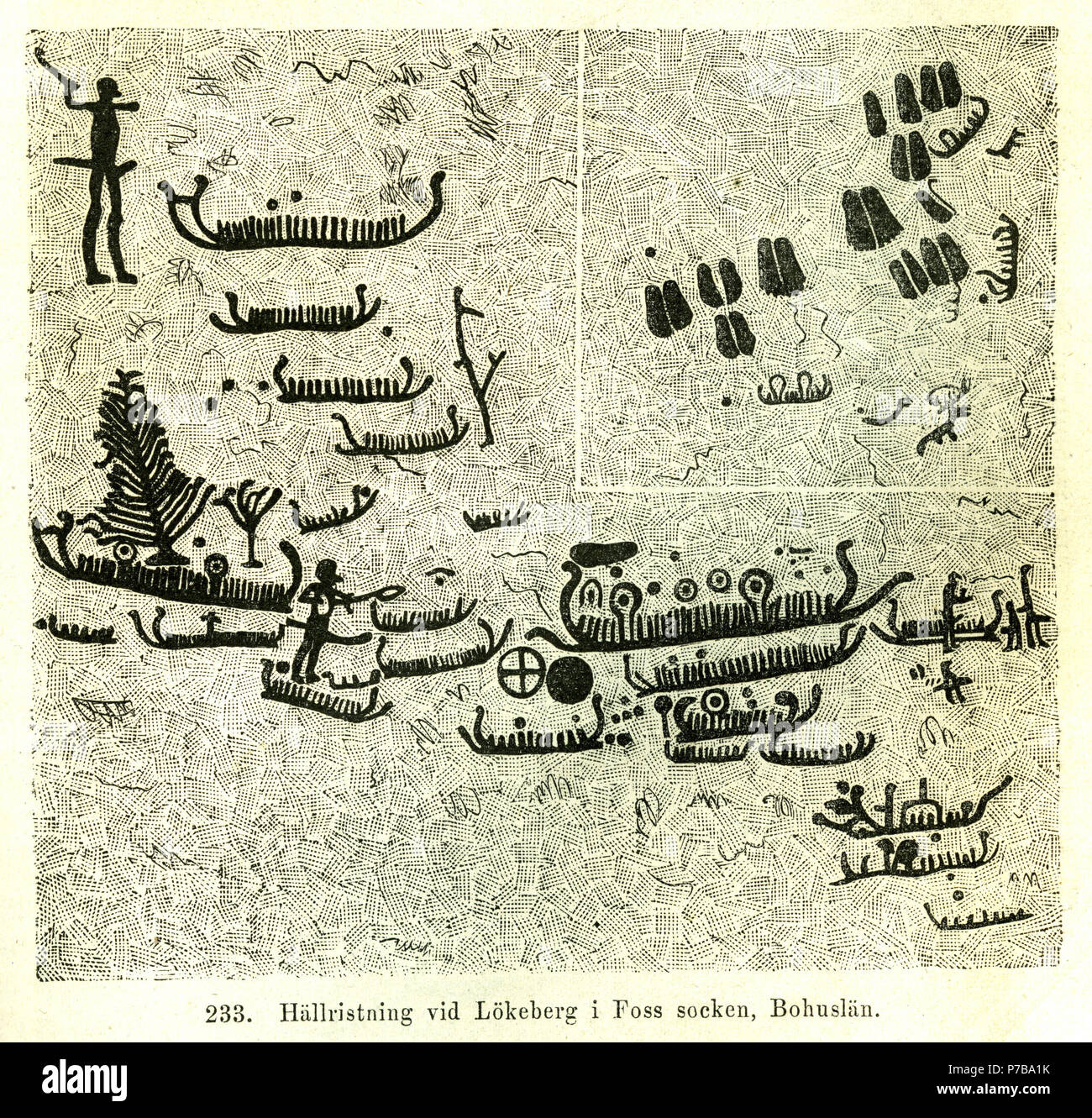 45 Hällristning vid Lökeberg io Foss socken Bohuslän (Montelius 1877 s161 fig233) Foto Stock