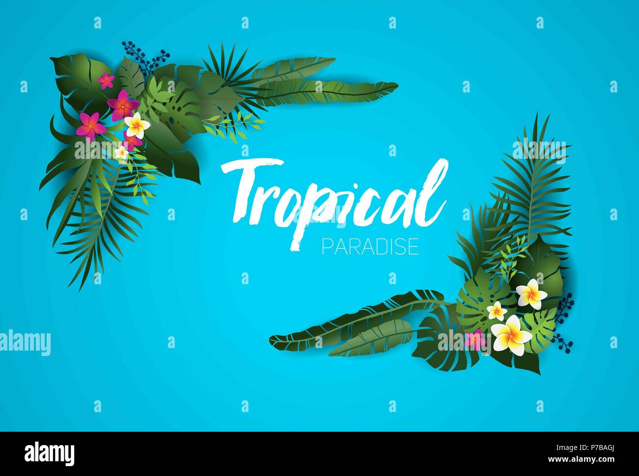 Natura carta tropicale Illustrazione Vettoriale