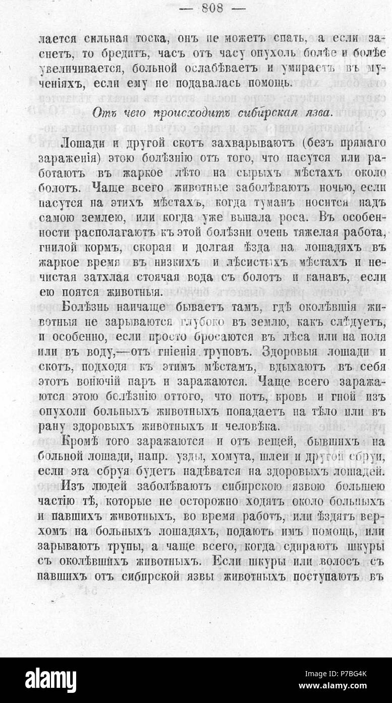 94 Волынские епархиальные ведомости 1867-1868 № 1(сент.)-7 8(дек.)(1867) 9(янв.)(1868) 10-18(1868) 19-31(1868) 32(дек.)(1868) с Указ. - 1867-1868. Pagina 1615 Foto Stock