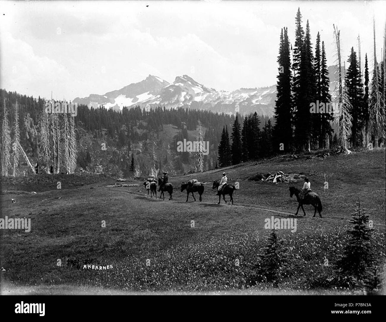 . Inglese: i visitatori di Reese's hotel tenda camp lasciando Paradise Valley da packtrain, il Parco Nazionale del Monte Rainier, Washington, ca. 1910. Inglese: mostra due donne e un uomo su cavallo . Sul manicotto del negativo: Reese's pack treno in partenza Paradise Valley. Soggetti (LCTGM): Equitazione--Washington (stato)--Mount Rainier National Park; cavalli--Washington (stato)--Il Parco Nazionale del Monte Rainier soggetti (LCSH): Mount Rainier National Park (Washington) . circa 1910 83 visitatori di Reese's hotel tenda camp lasciando Paradise Valley da packtrain, il Parco Nazionale del Monte Rainier, Washington, ca 1910 (barra 69) Foto Stock
