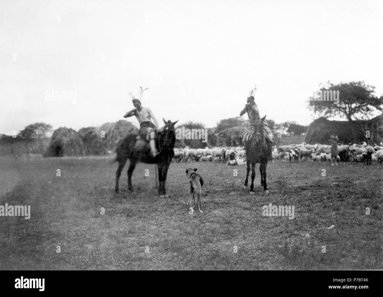 140 Hjord får av och i getter indianby samt beridna. vakter. Bildarkiv, 4724. Gran Chaco, Rio Pilcomayo - SMVK - 004724 Foto Stock
