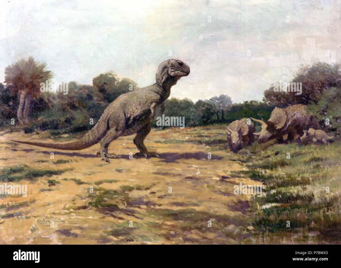 Inglese: Tirannosauro nella postura obsoleto . 1919 12 T. rex postura vecchia Foto Stock