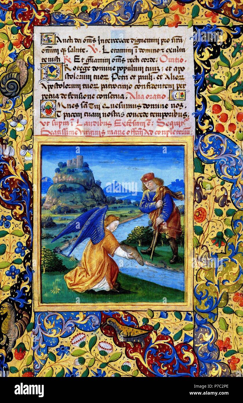 Libro de horas de Luis de Orleans: Tobías y el Angel R40. Museo: BIBLIOTECA NACIONAL DE RUSIA SAN PIETRO RUSIA. Foto Stock