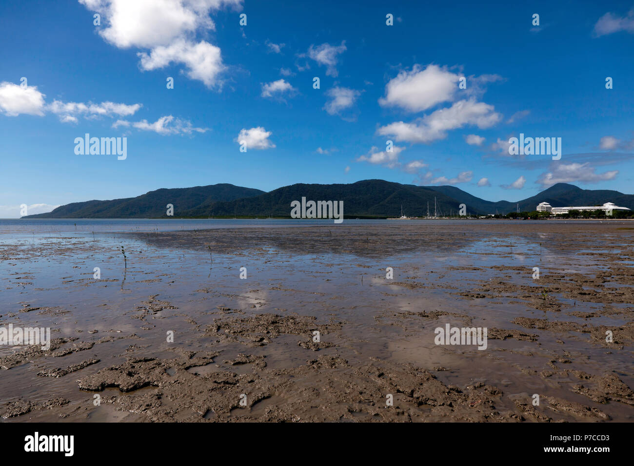 Vista di Trinity Bay, guardando verso la marina di Cairns, Queensland, Australia Foto Stock