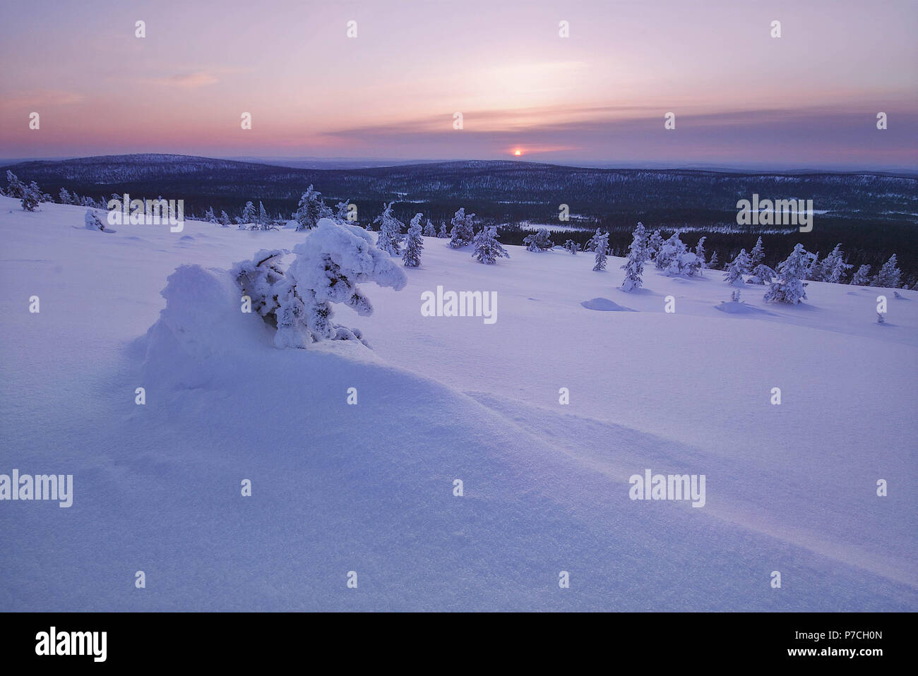 Scena invernale da fell Särkituntturi in Muonio, Finlandia e Lapponia Foto Stock