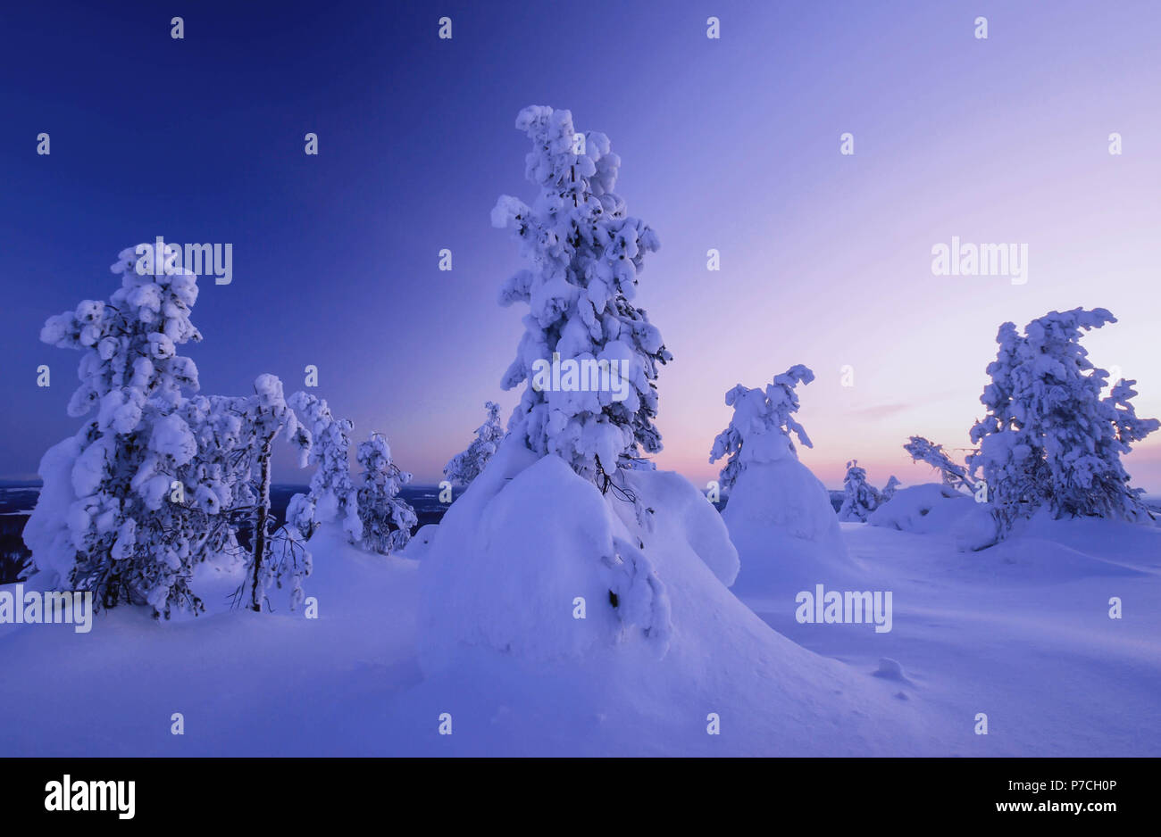 Scena invernale da fell Särkituntturi in Muonio, Finlandia e Lapponia Foto Stock