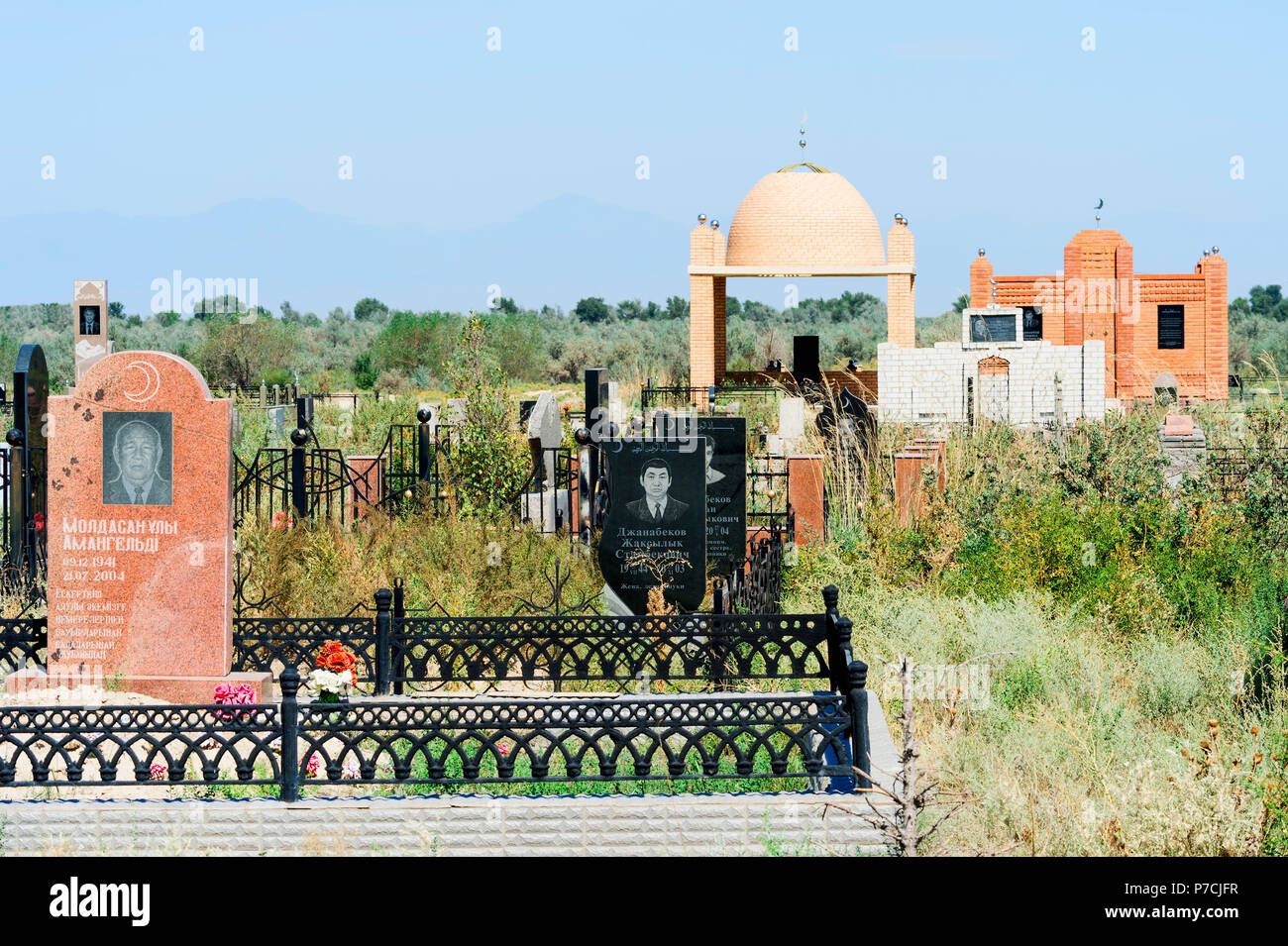 Cimitero musulmano, Sati village, Tien Shan montagne, Kazakistan Foto Stock