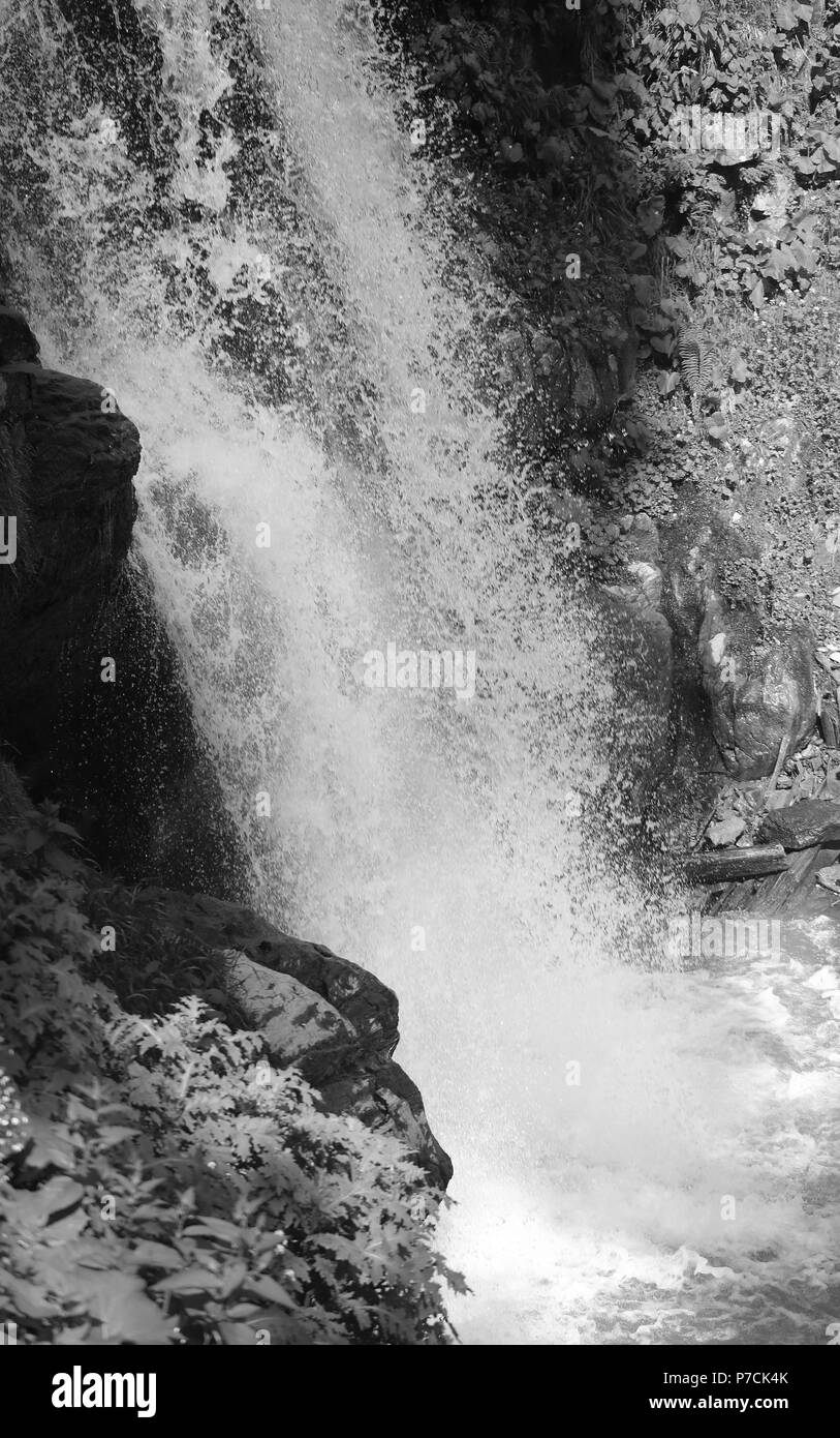 Foto di una bella cascata macro a Sochi Russia in estate Foto Stock