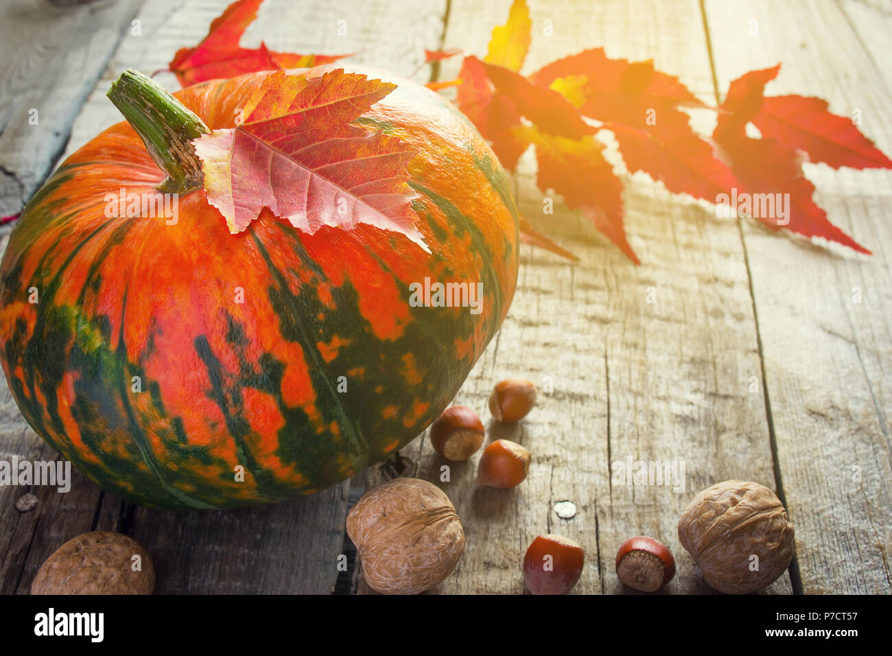 La zucca, viola le foglie e i dadi su un vecchio sfondo di legno, oscurata Foto Stock