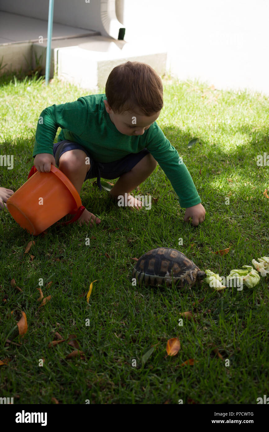 Ragazzo giocando con la tartaruga in giardino Foto Stock