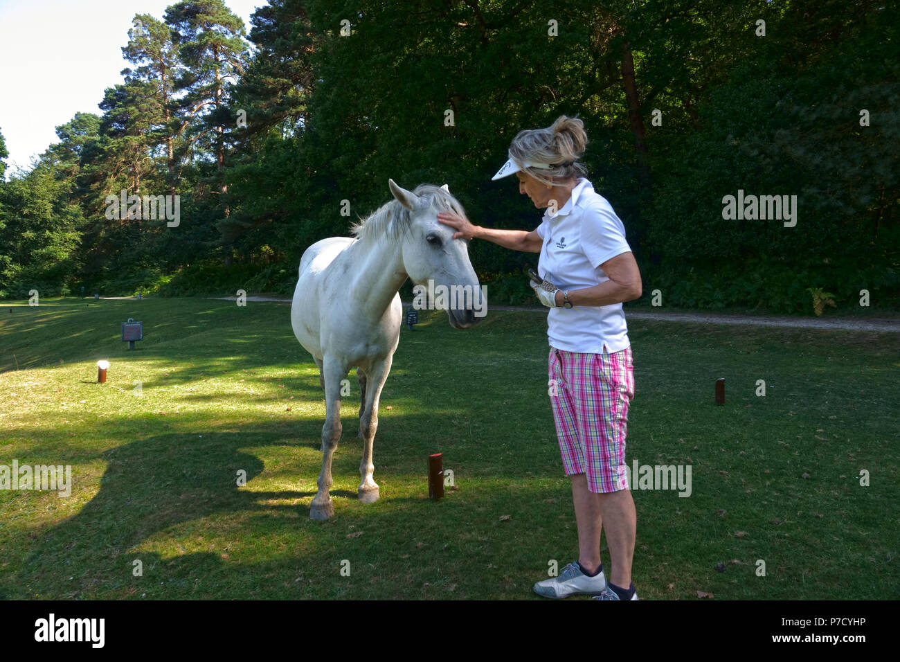 Bramshaw, Hampshire, Regno Unito - Luglio 2018 Lady golfista animali domestici iconico 'New Forest Pony' su Bramshaw Golf Club del decimo foro nella nuova foresta, Hampshire, Sud Foto Stock