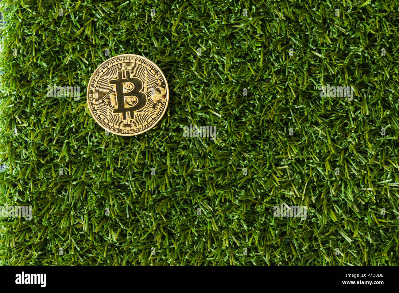 Un Bitcoin Cryptocurrency Bit digitale medaglia BTC valuta la tecnologia Internet Business concetto. Bitcoin in erba Foto Stock