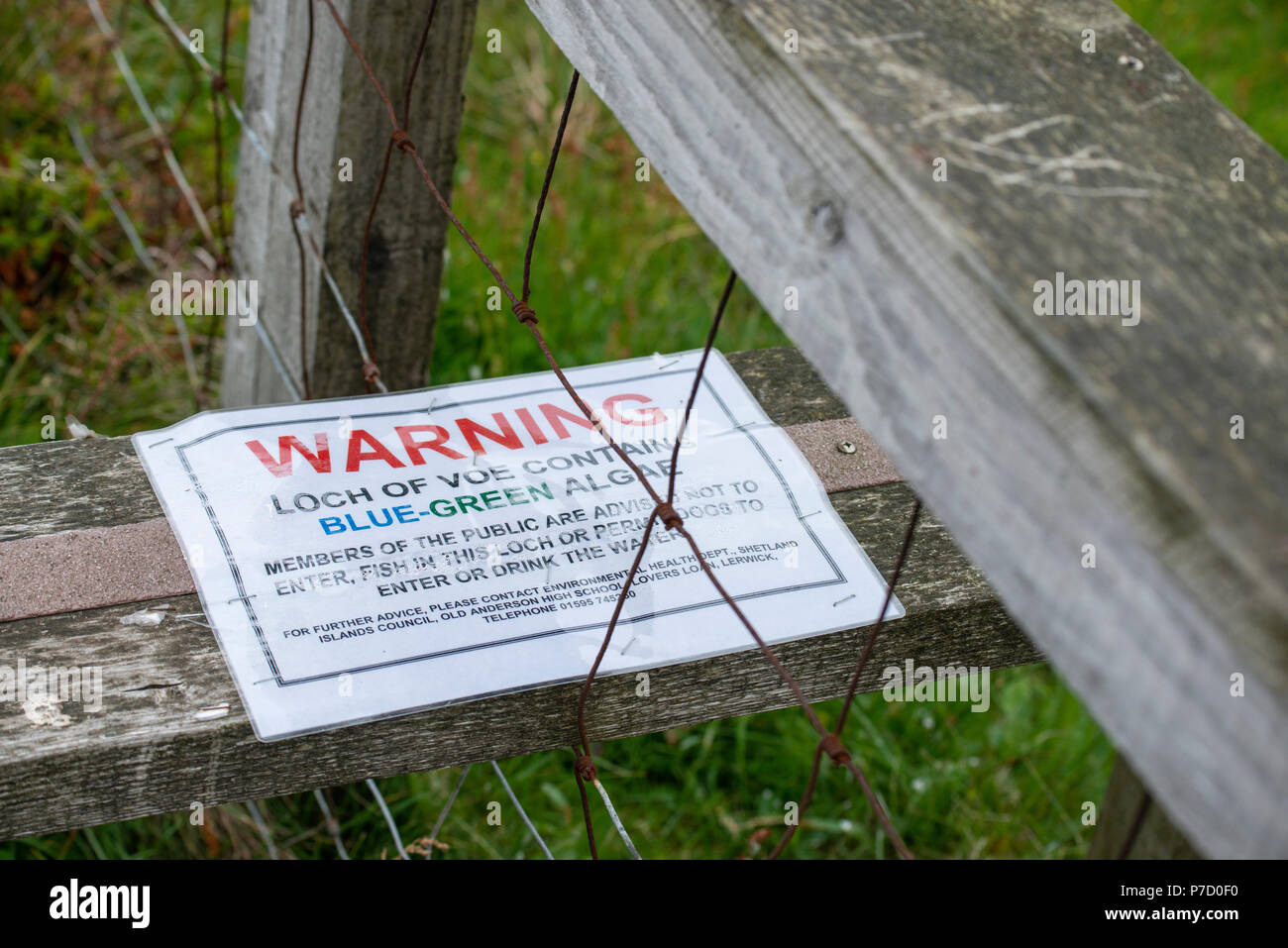 Alghe blu-verde segno. Shetland, Regno Unito Foto Stock
