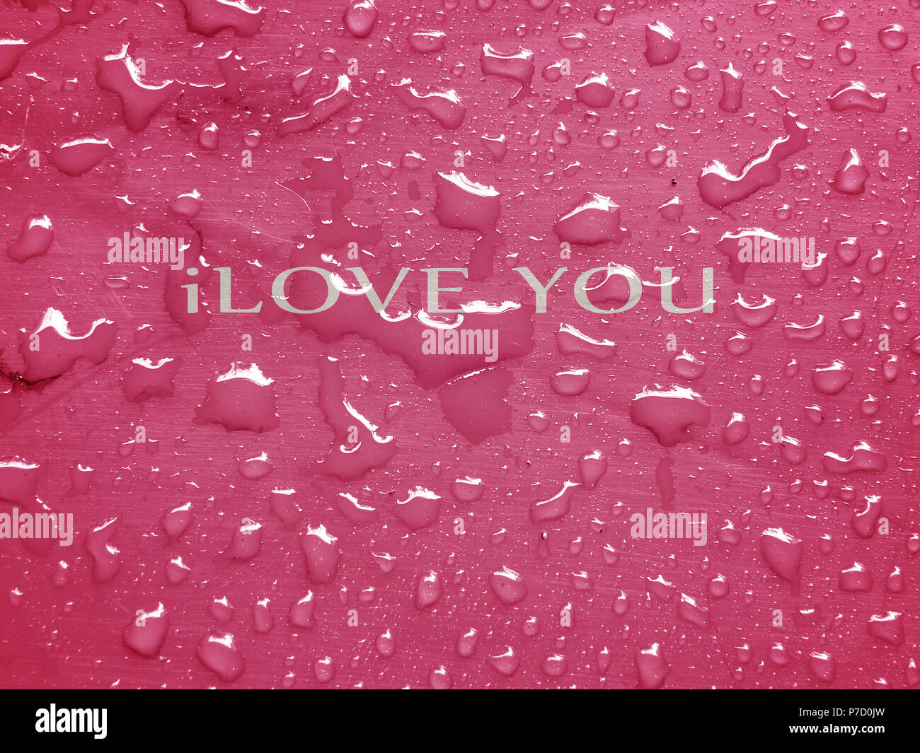 Rosa il concetto di amore Foto Stock