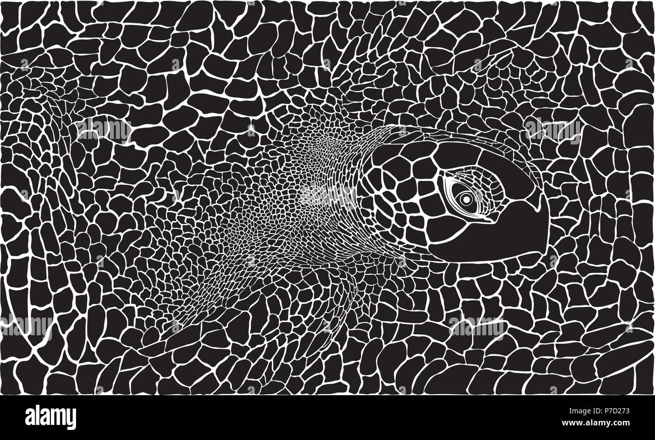 La tartaruga - Kareta in background Illustrazione Vettoriale