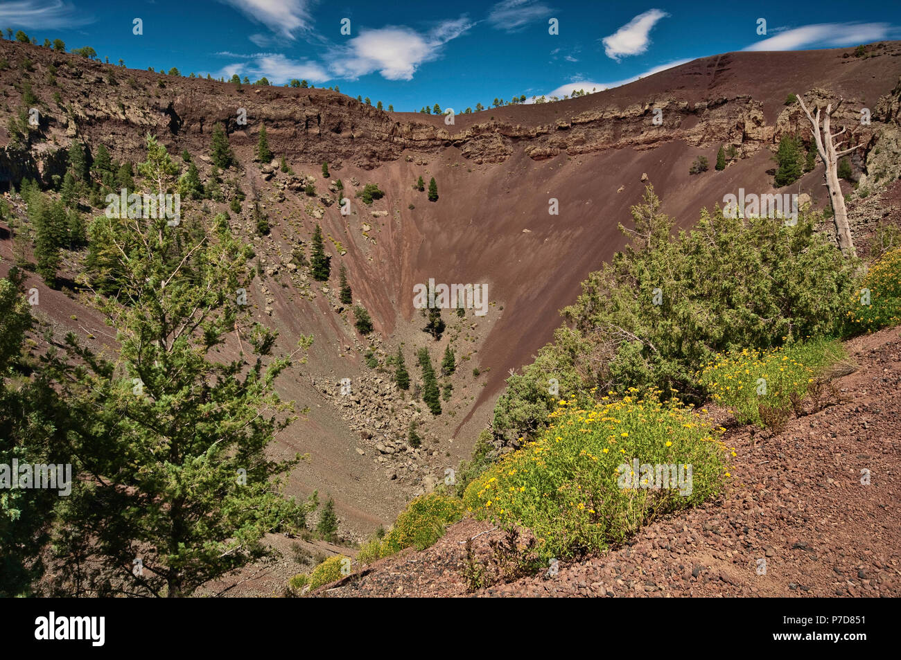 Il Cratere Bandera, cono di scorie vulcano El Malpais monumento nazionale, Nuovo Messico, STATI UNITI D'AMERICA Foto Stock