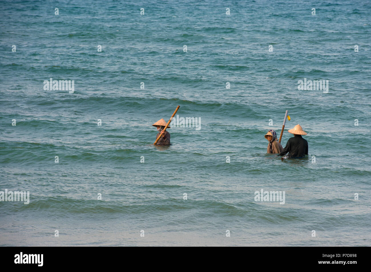 Cozza cacciatori, pescatori di molluschi indossando cappelli di paglia, Cua Dai beach in Hoi An, Vietnam Foto Stock