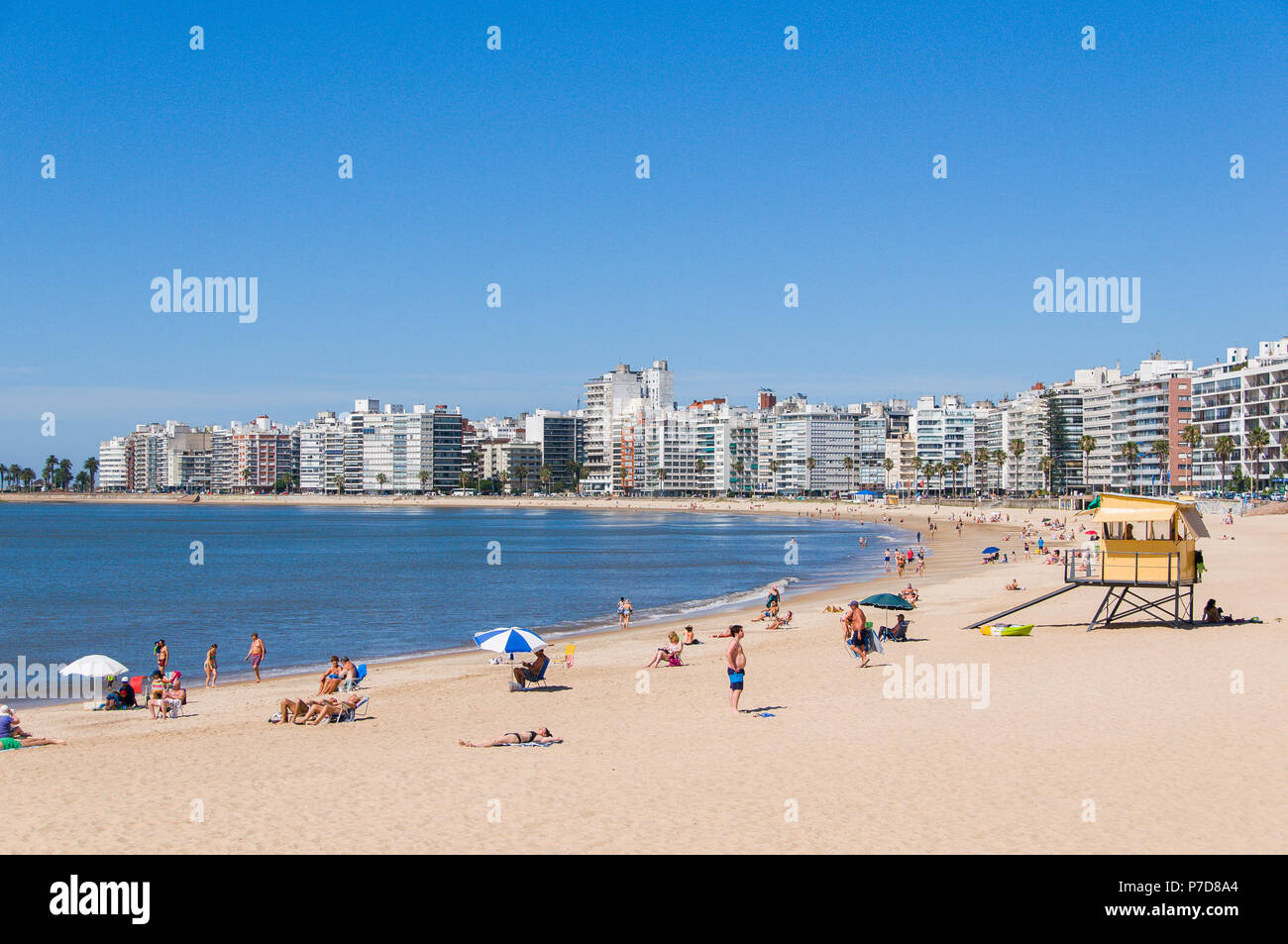 Nuotatori presso la spiaggia della città e grattacieli di Montevideo, Uruguay Foto Stock