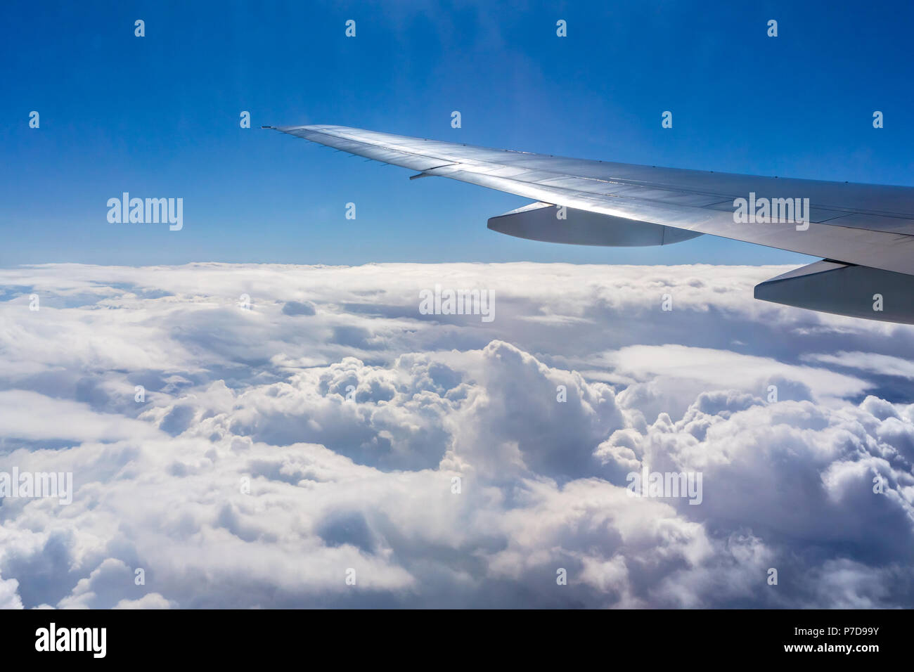Volo sopra il cielo. Forma dell'ala di aeroplano su un cielo blu. Foto Stock