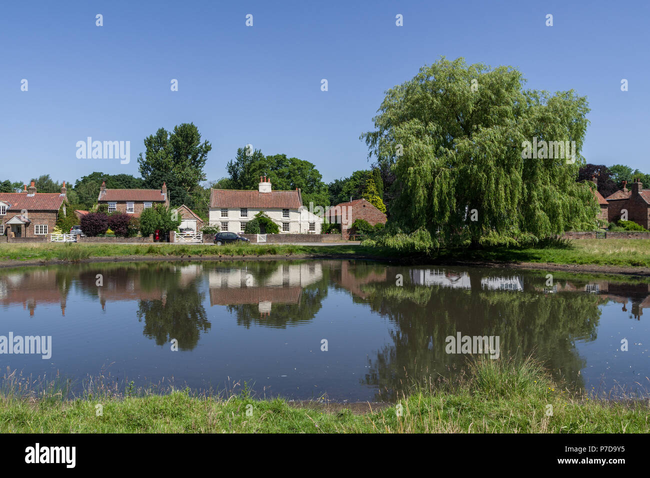 Una vista attraverso il Duck Pond nel villaggio da cartolina di Nun Monkton; North Yorkshire, Regno Unito Foto Stock