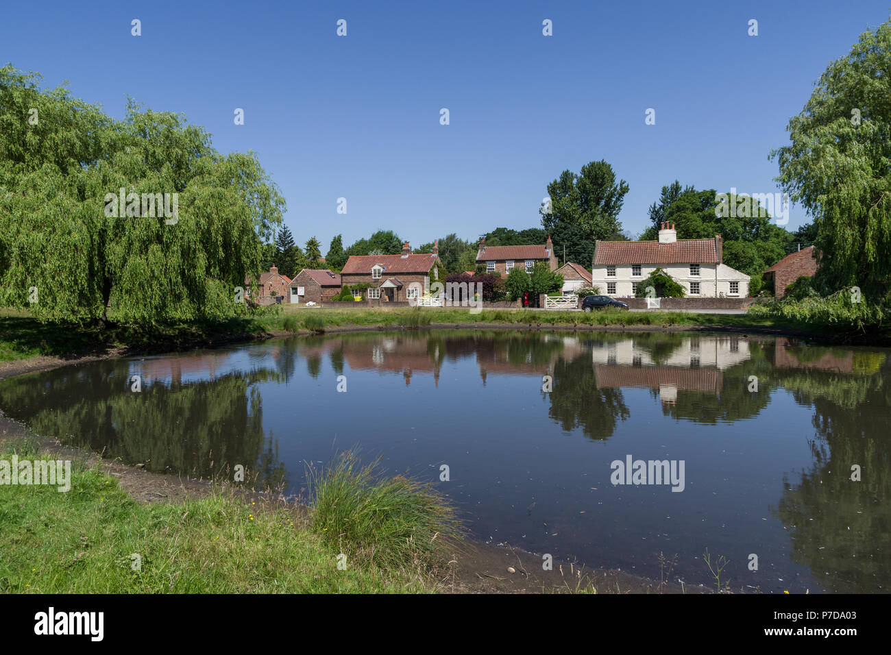 Una vista attraverso il Duck Pond nel villaggio da cartolina di Nun Monkton; North Yorkshire, Regno Unito Foto Stock