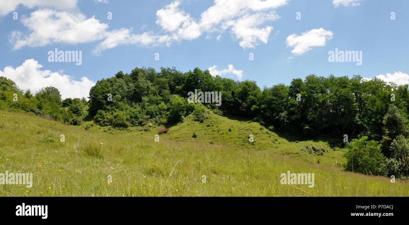 Scenario paesaggistico della zona rurale in Romania, con prato sulla collina con uno sfondo con cielo nuvoloso Foto Stock