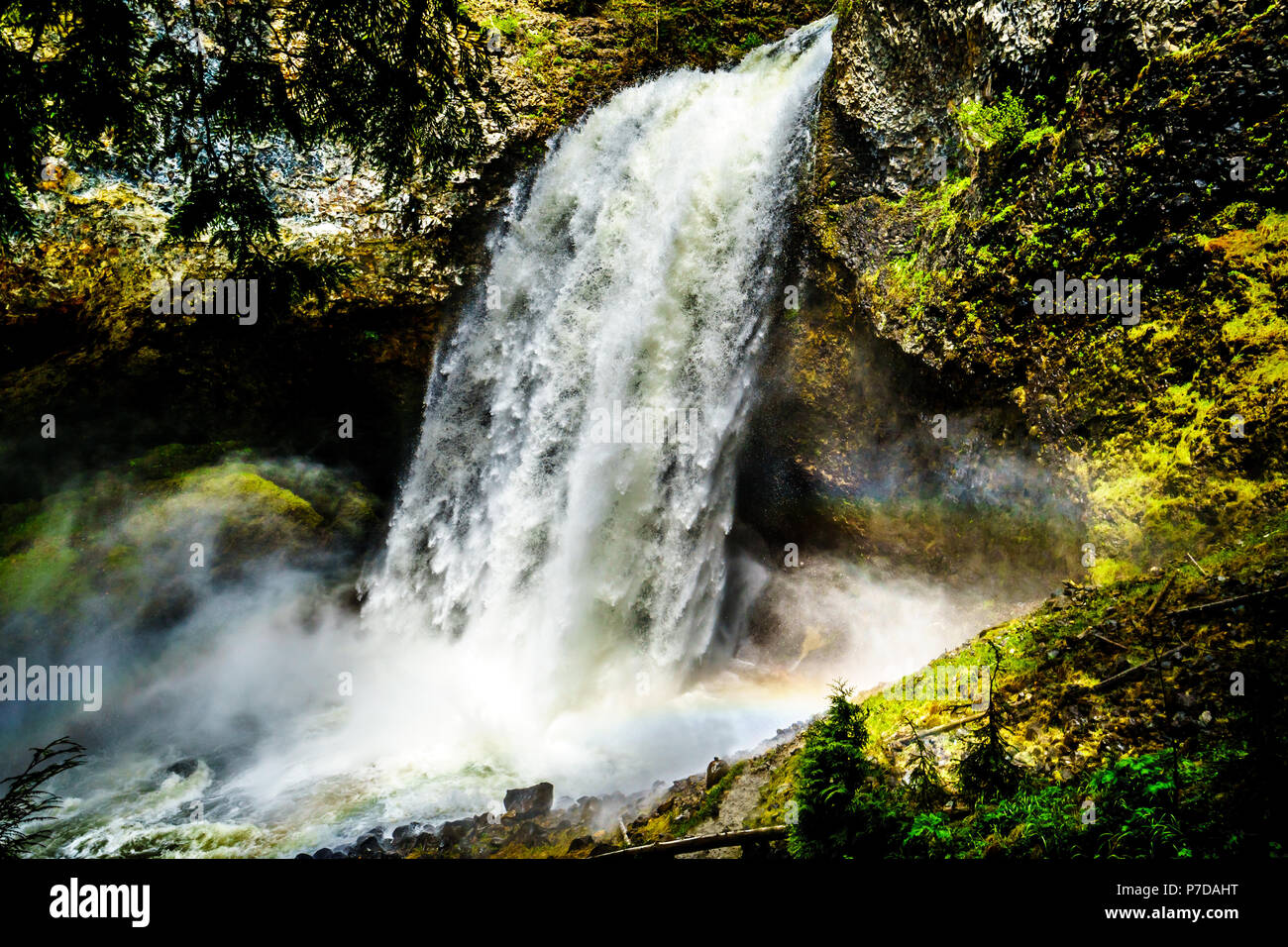 Il massiccio flusso di acqua durante la primavera Run Off di Moul cade in Grouse Creek nel Grey Parco Provinciale presso Clearwater, British Columbia, Canada Foto Stock