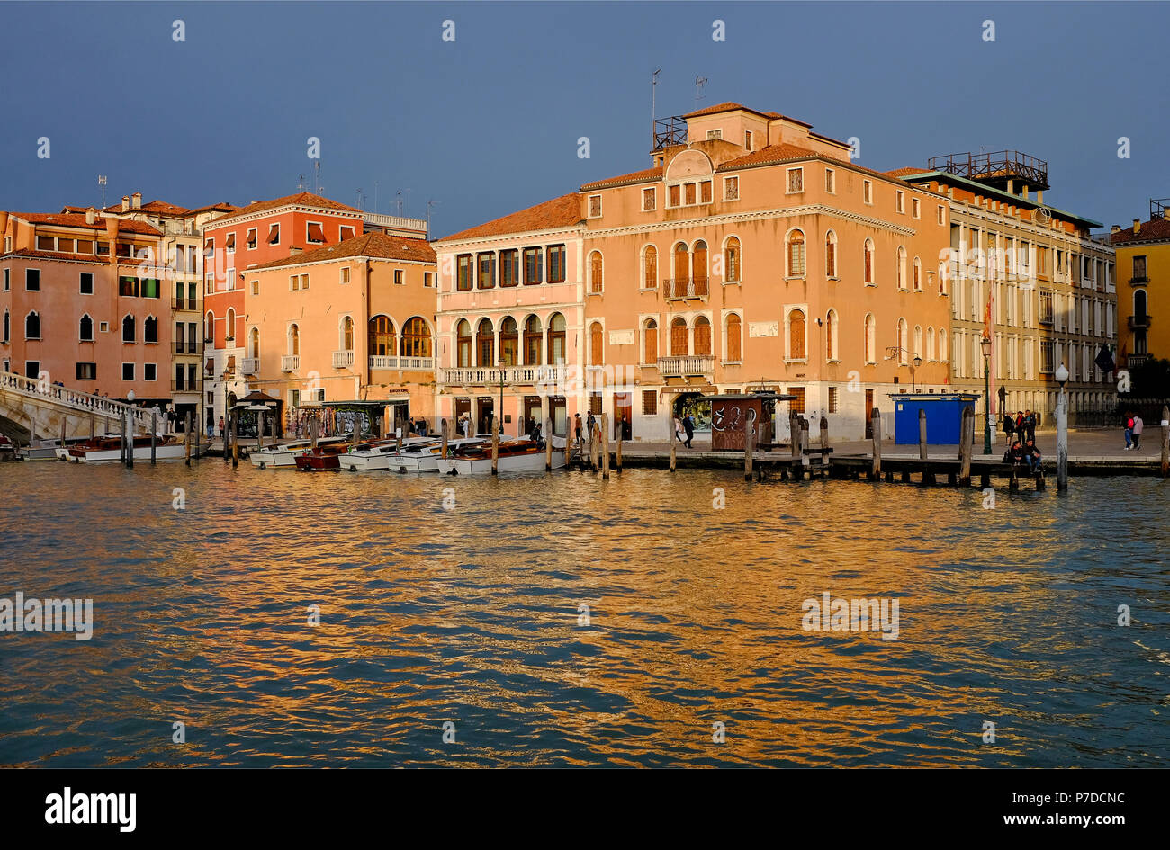 Palazzi sul canal Grande di Venezia, Italia Foto Stock