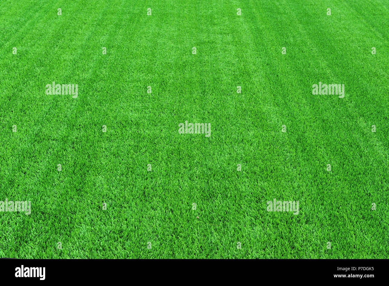 Erba verde del calcio sfondo arena Foto Stock
