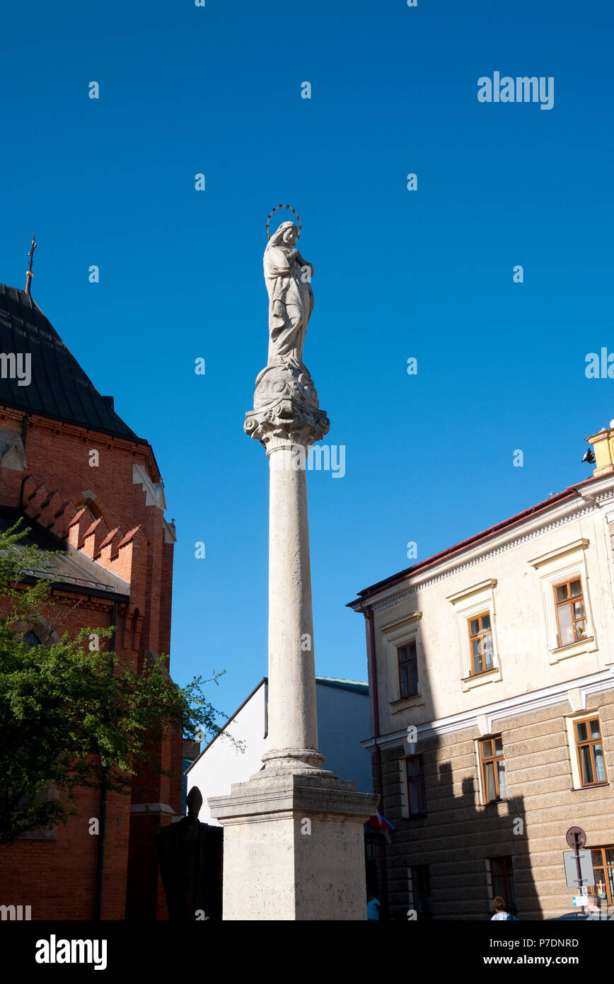 Statua della Beata Vergine Maria su una colonna fuori dalla Cattedrale di Tarnow, Tarnow, Polonia, Europa. Foto Stock