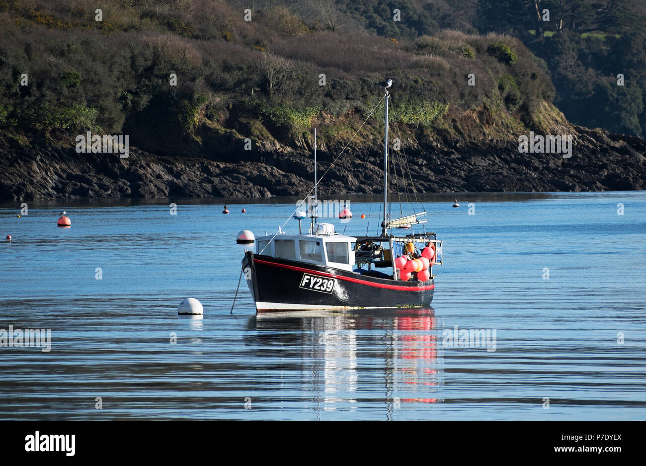 La pesca in barca sul fiume helford in Cornovaglia, Inghilterra, Regno Unito. Foto Stock