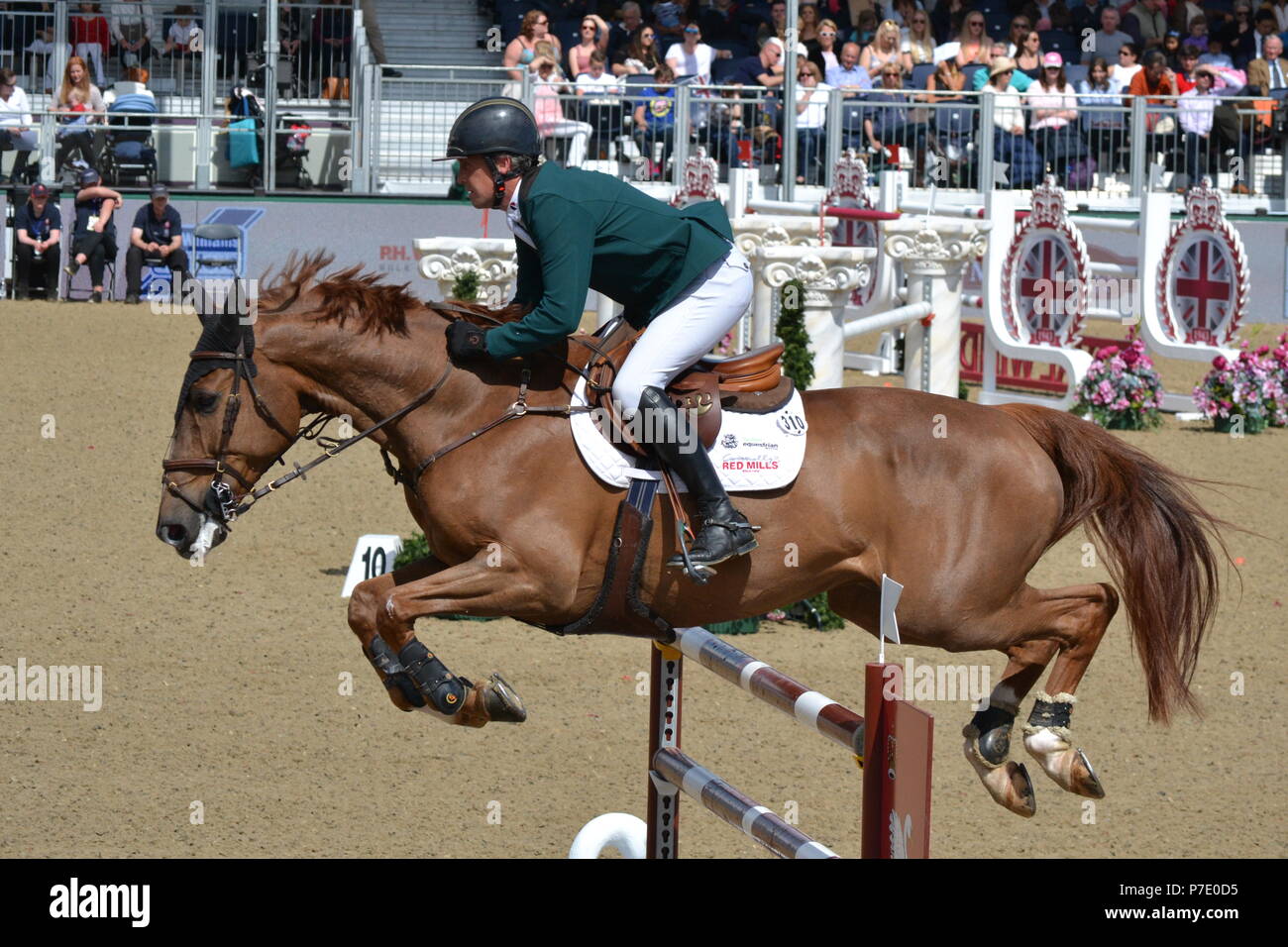 Horse jumping al Royal Windsor Horse Show Foto Stock