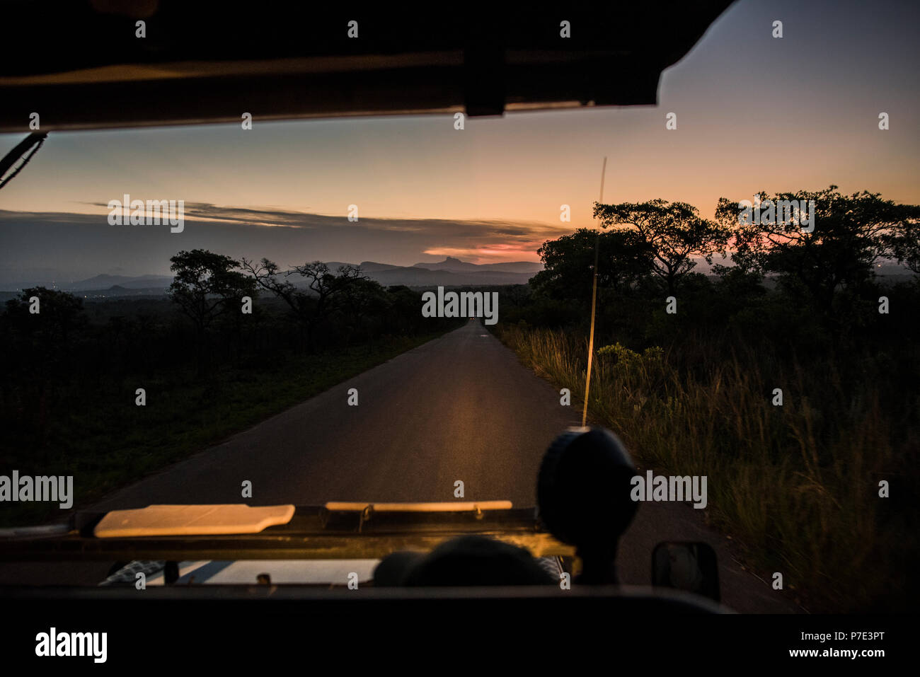Vista dal veicolo di strada davanti al tramonto, il Parco Nazionale Kruger, Sud Africa Foto Stock