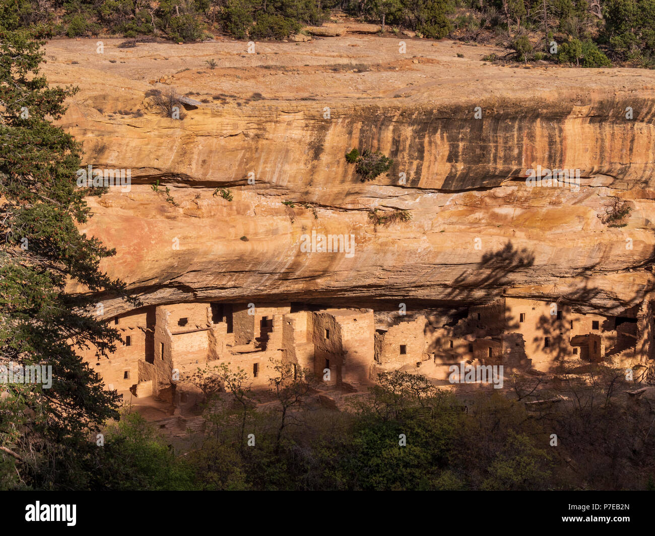 Spruce Tree House rovine, Chapin Mesa, Mesa Verde National Park, Colorado. Foto Stock