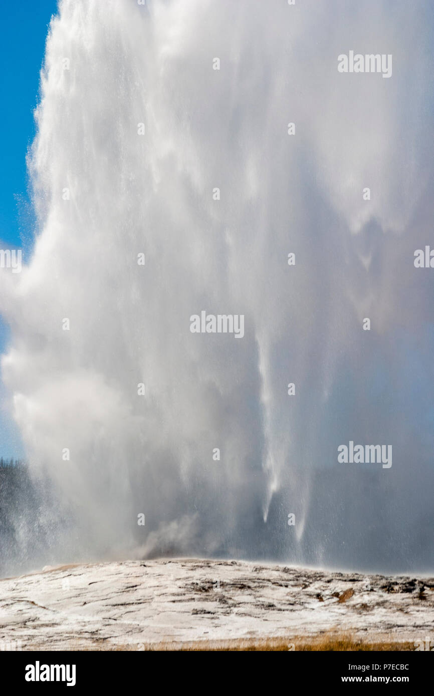 Geyser Old Faithful nel Parco Nazionale di Yellowstone in Wyoming. Foto Stock