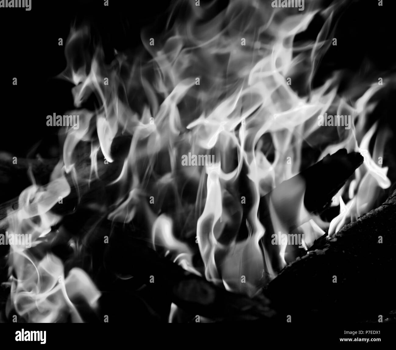 In bianco e nero il fuoco nella foresta a sera. Vista ravvicinata Foto  stock - Alamy