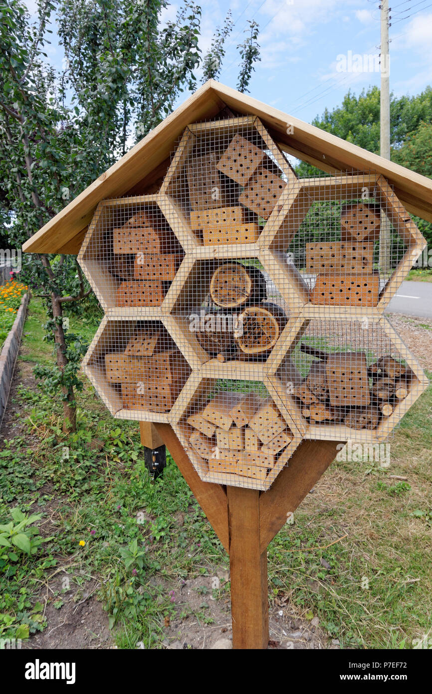 Legno hotel ape impollinatrice alloggiamento in una comunità giardino, Vancouver, BC, Canada Foto Stock