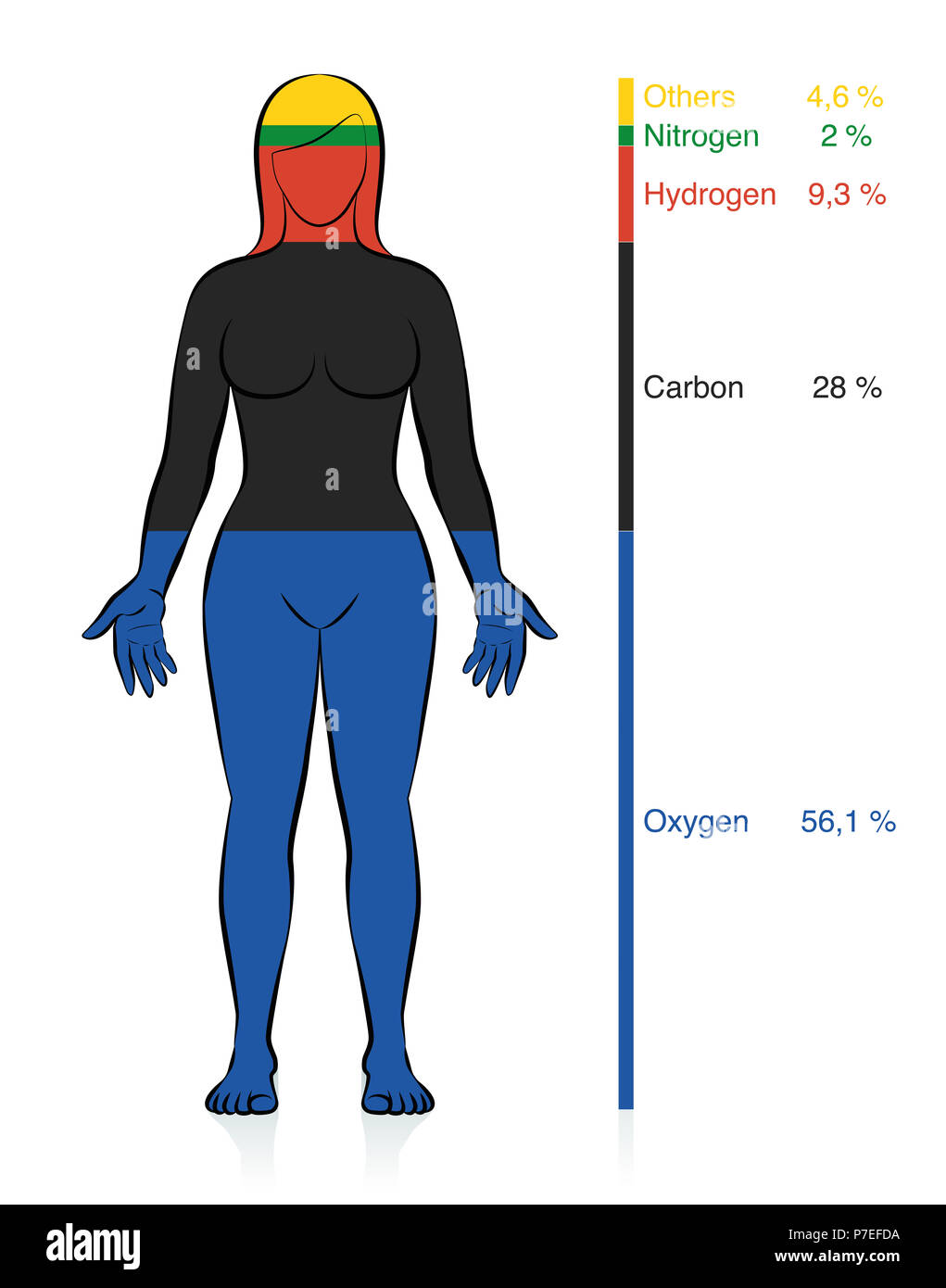 Quantità dei più comuni elementi di chimica di ossigeno, carbonio, idrogeno  e azoto nel corpo umano con percentuale di massa Foto stock - Alamy