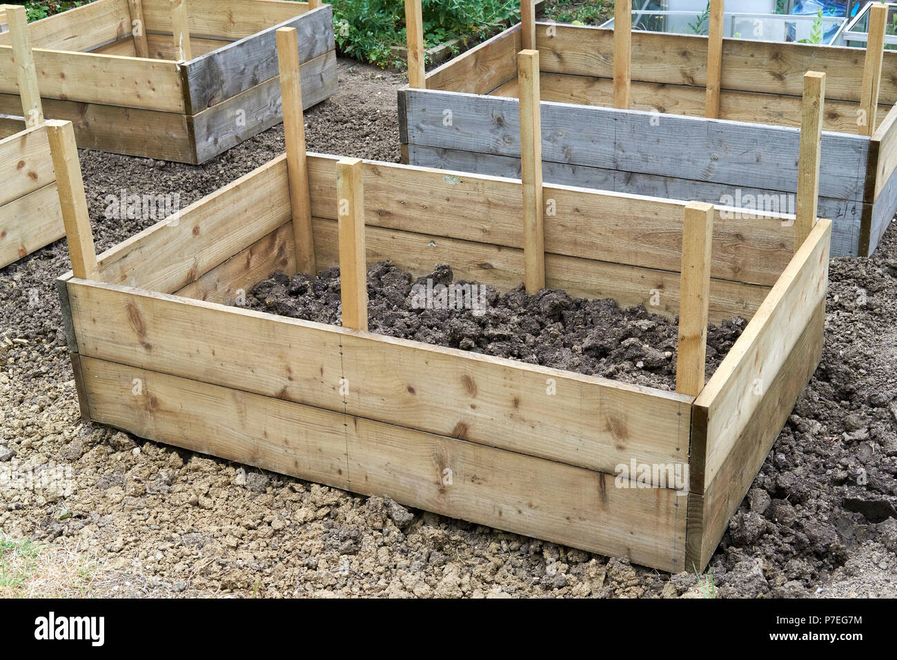 Legno letto sollevata la costruzione in un orto, UK. Foto Stock