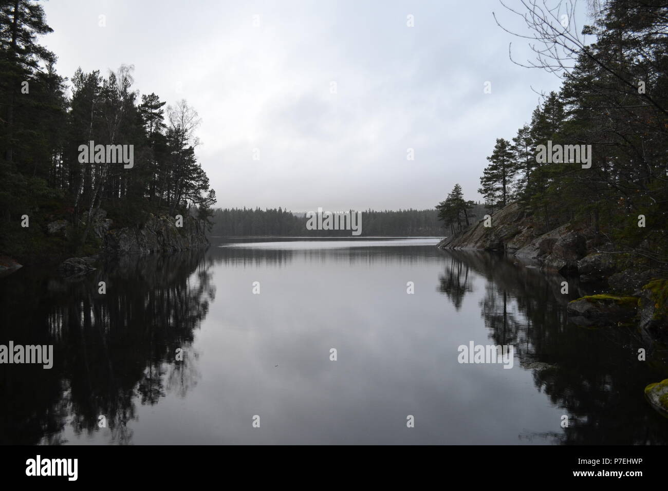 Lago della foresta Foto Stock