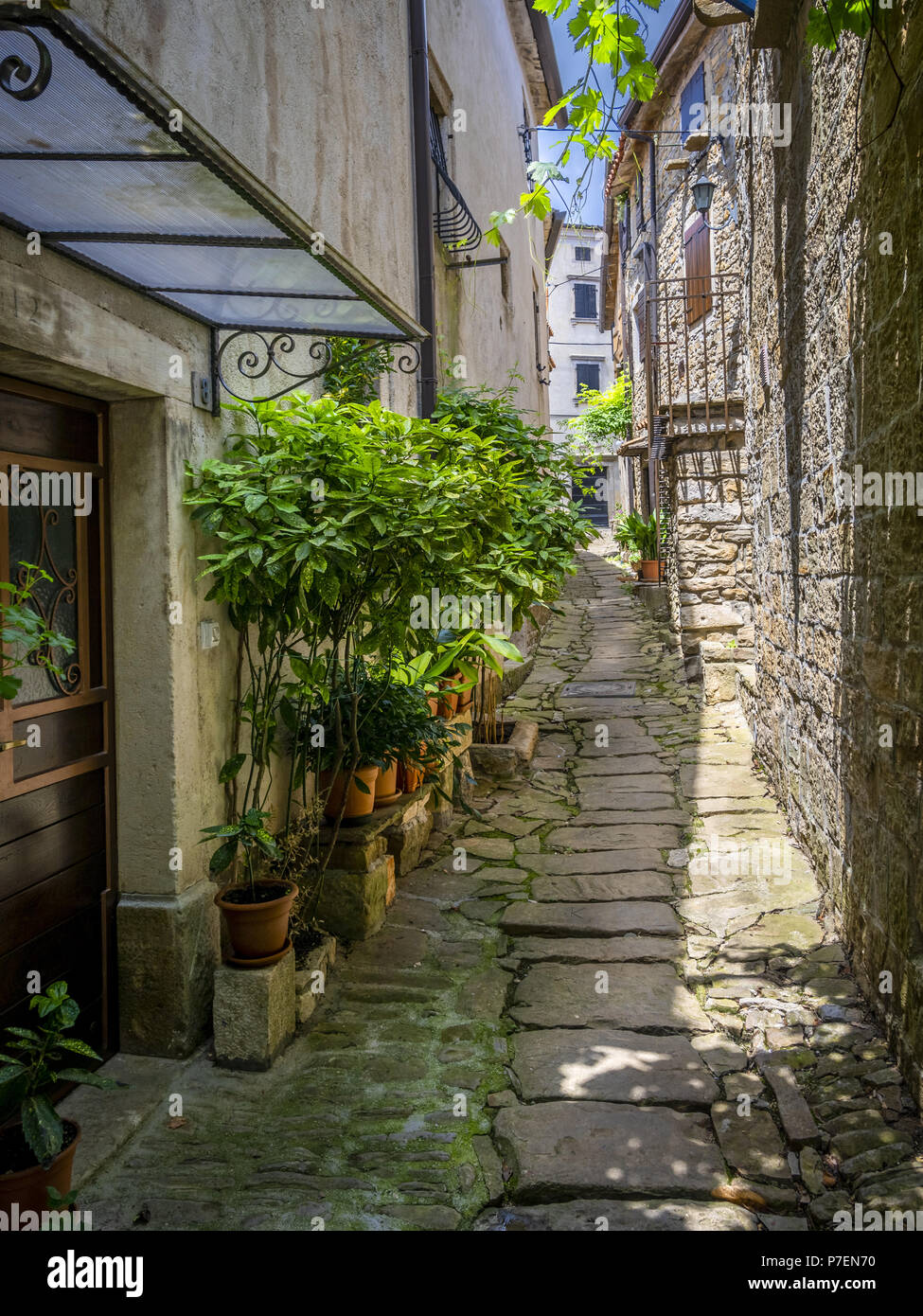 Villaggio di montagna Groznjan, Istria, Croazia Foto Stock